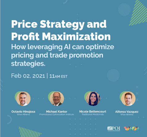profit maximization strategy price webinar